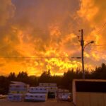 302591806_537965884797432_858632551784722734_n